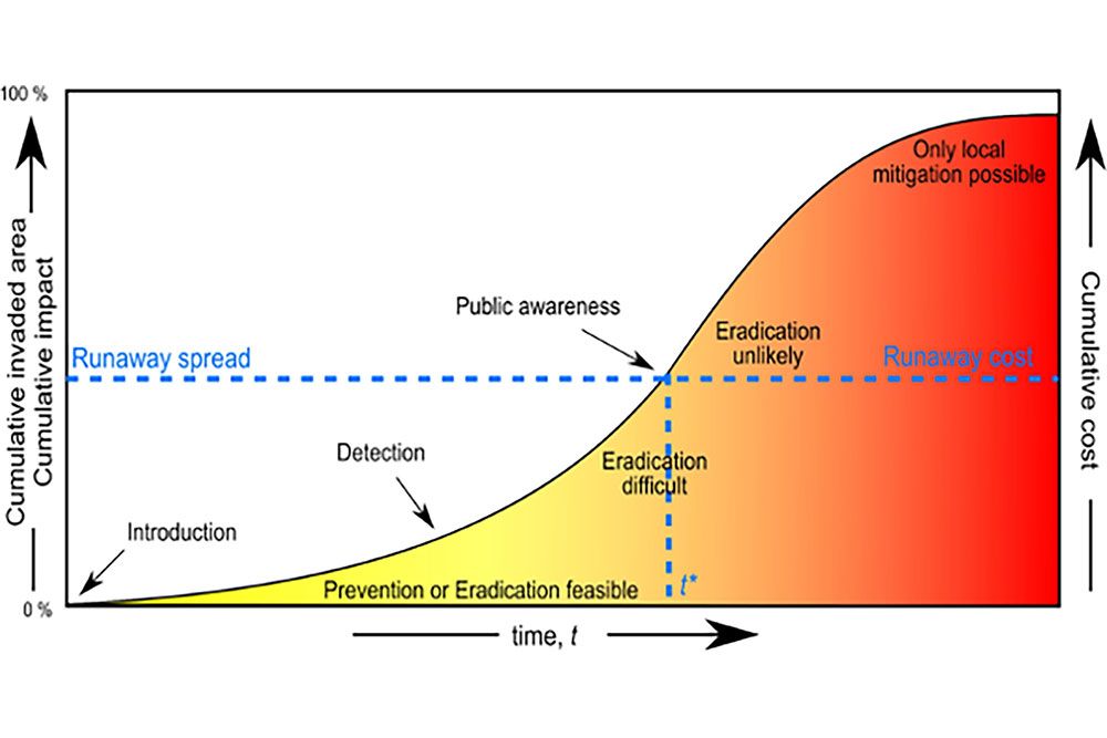 Invasion curve illustrating how costs rise with time and spread. Source: F. Herald, 2022.