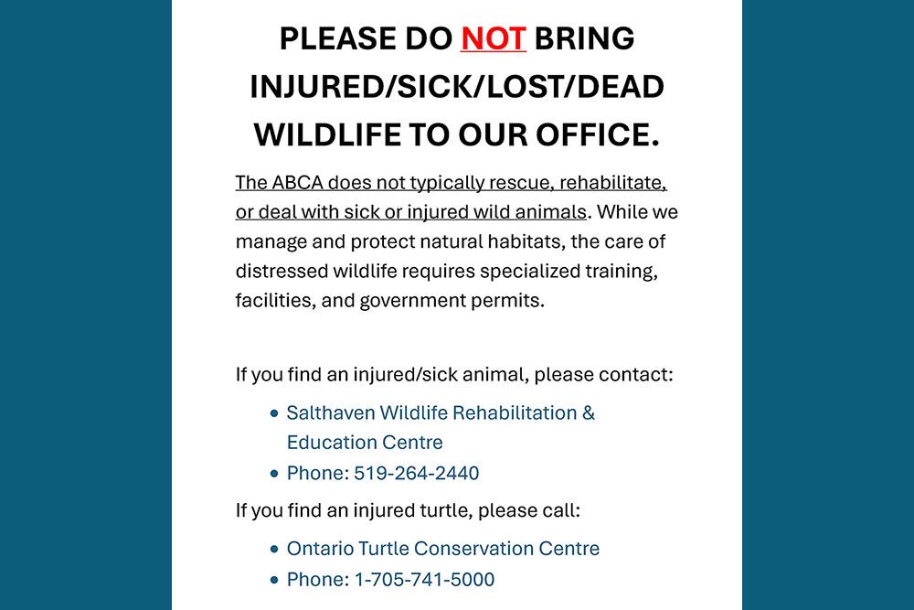 A Notice posted on our front window reminding people not to bring in injured wildlife.