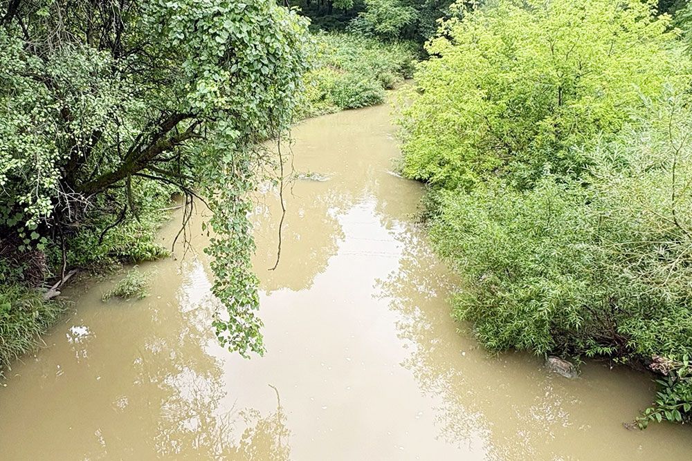 A photo of Parkhill Creek showing higher streamflow.